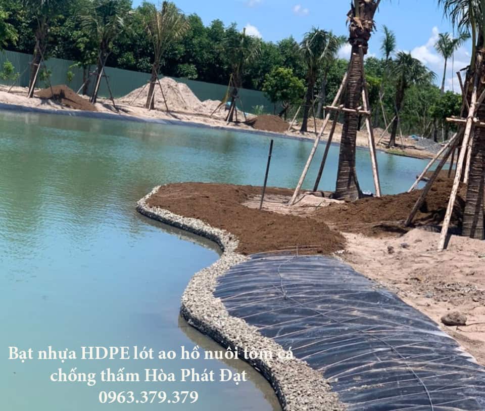 Thi-công-lót-hồ-cảnh-quan-chuyên-Nghiệp