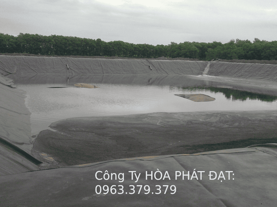 Bạt đen phủ hồ HDPE