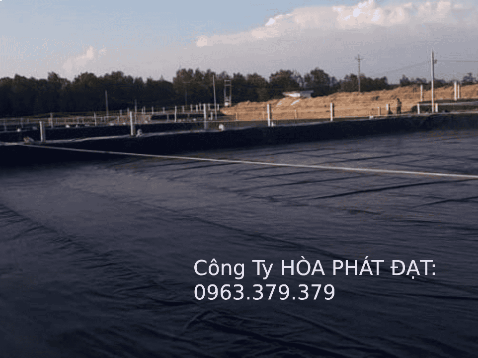 Bạt chống thấm lót hồ giá siêu rẻ