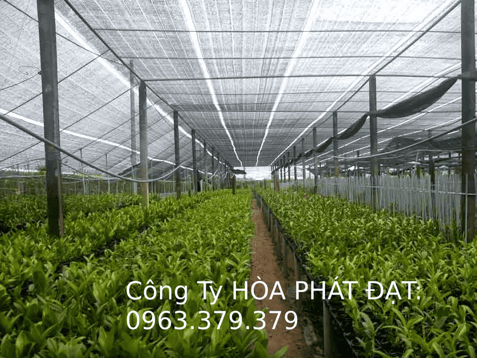 Lưới che nắng đa năng