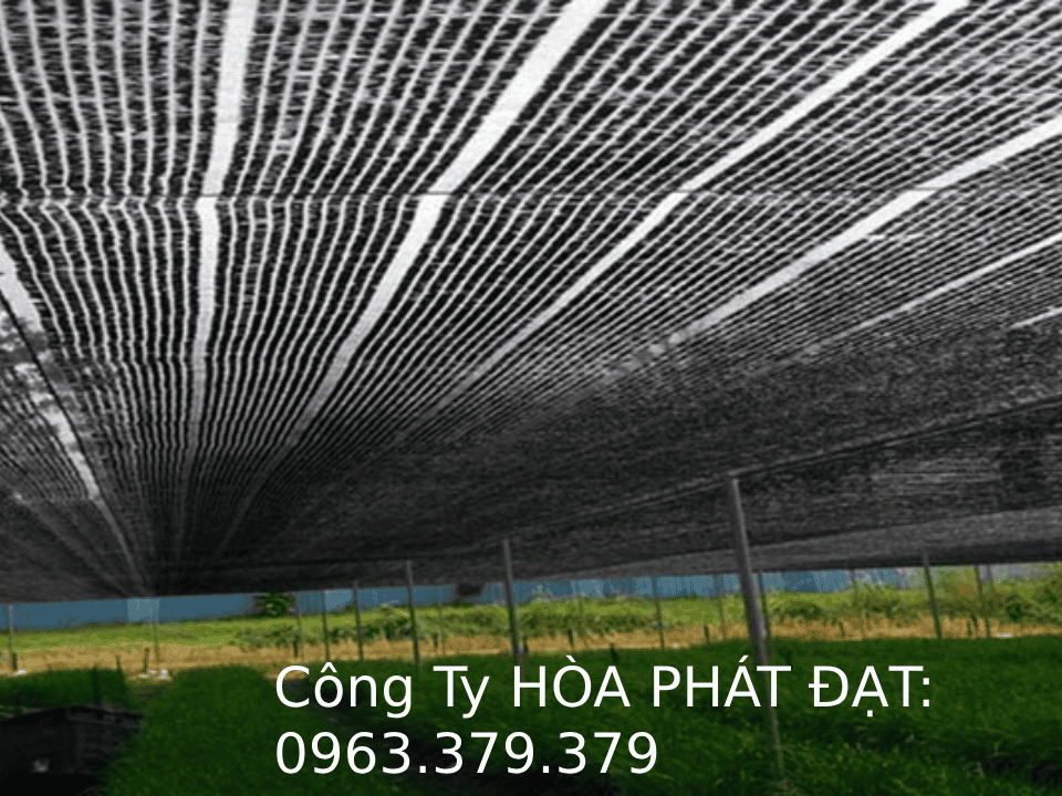 Lưới xanh đen che công trình thương hiệu Hòa Phát Đạt