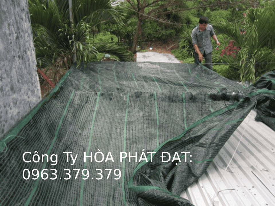 Lưới xanh che nông nghiệp, công trình xây dựng