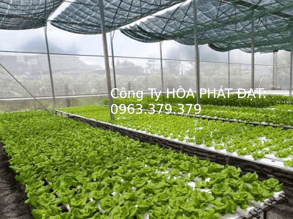 Lưới xanh đen che công trình thương hiệu Hòa Phát Đạt