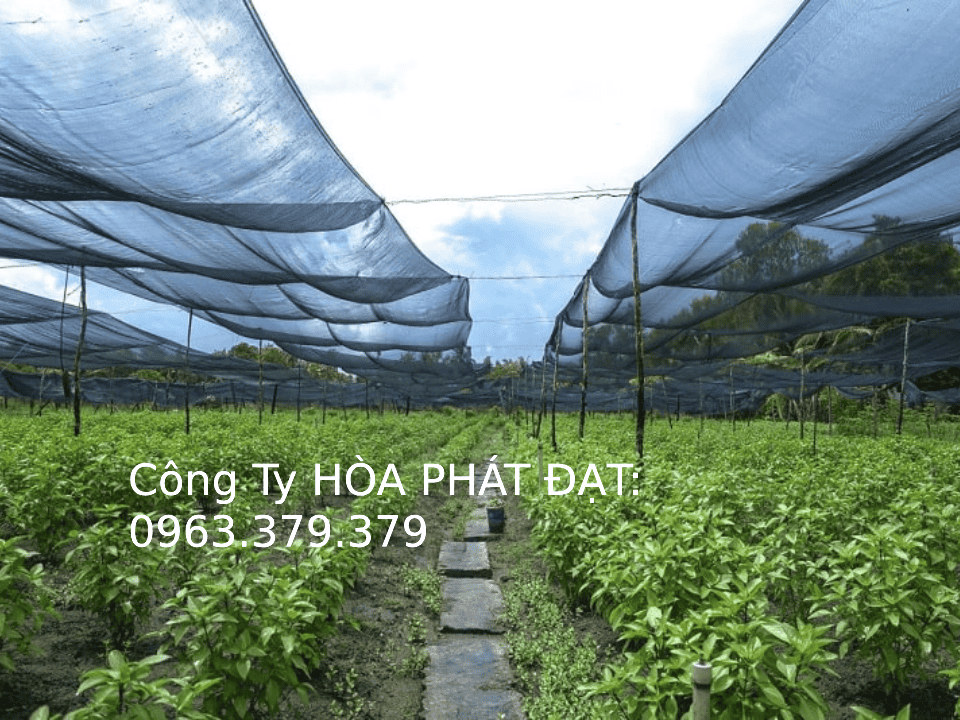 Lưới xanh che nông nghiệp, công trình xây dựng