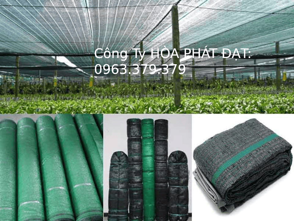 Các loại lưới an toàn che công trình xây dựng