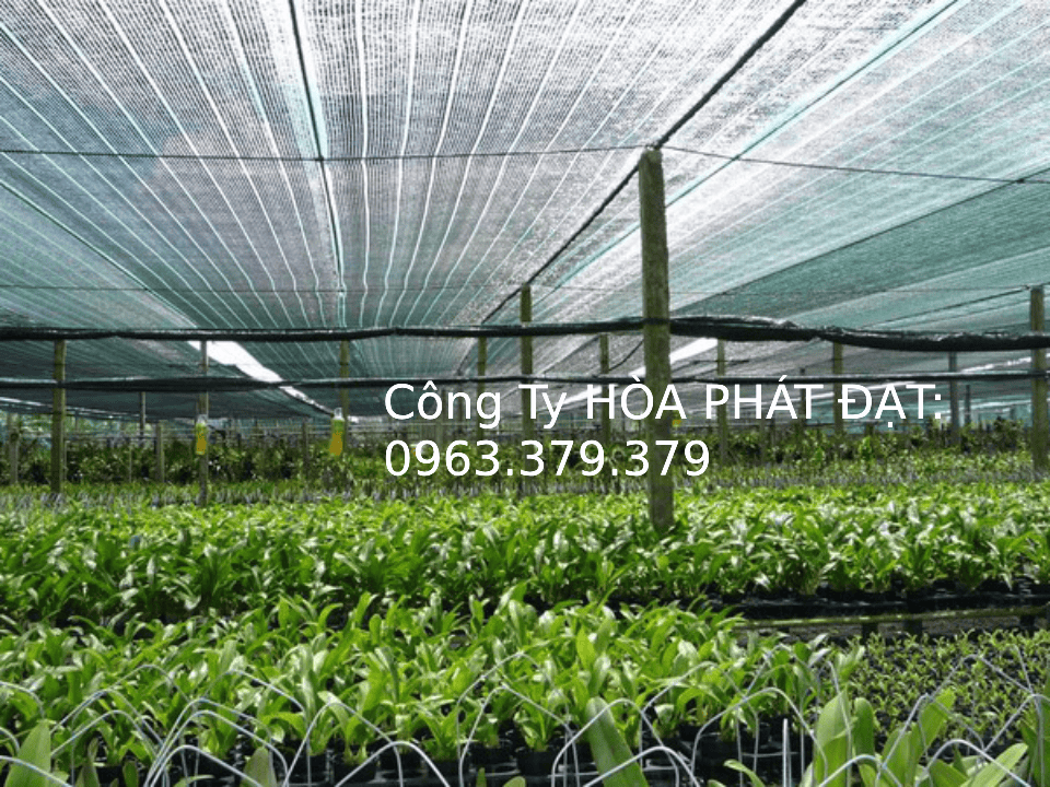 Lưới che nắng đa năng