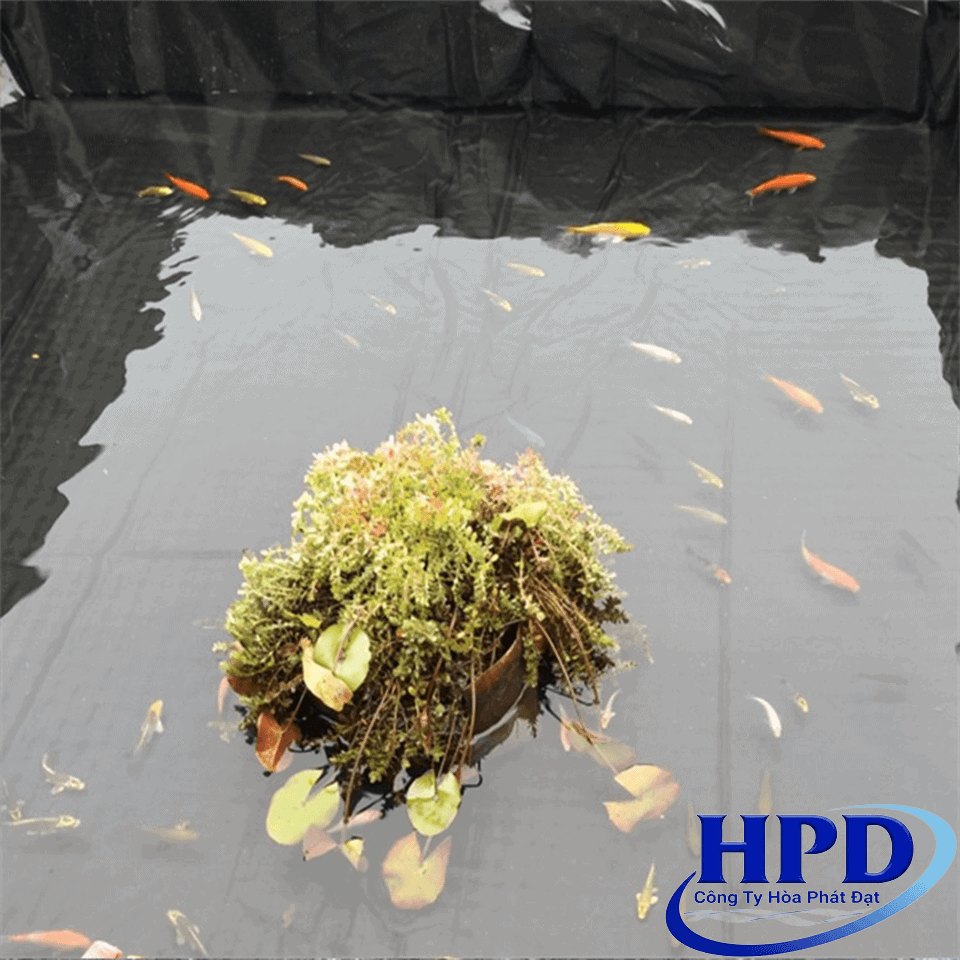 hinh-anh-thuc-te-ung-dung-bat-HDPE-nuoi-ca-canh