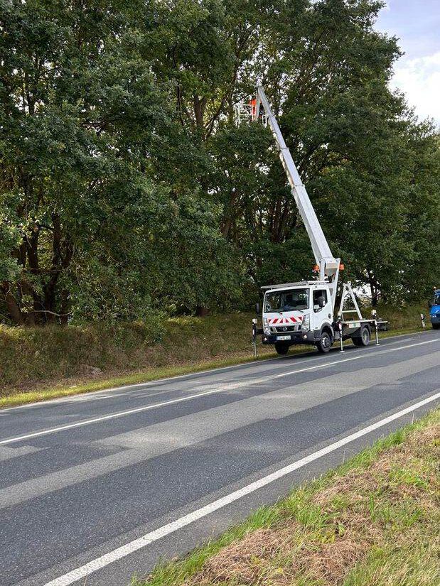 LKW-Arbeitsbühne am Straßenrand beim Baumbeschnitt in städtischer Umgebung.