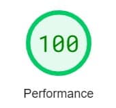 100 Percent Page Speed from page speed insights