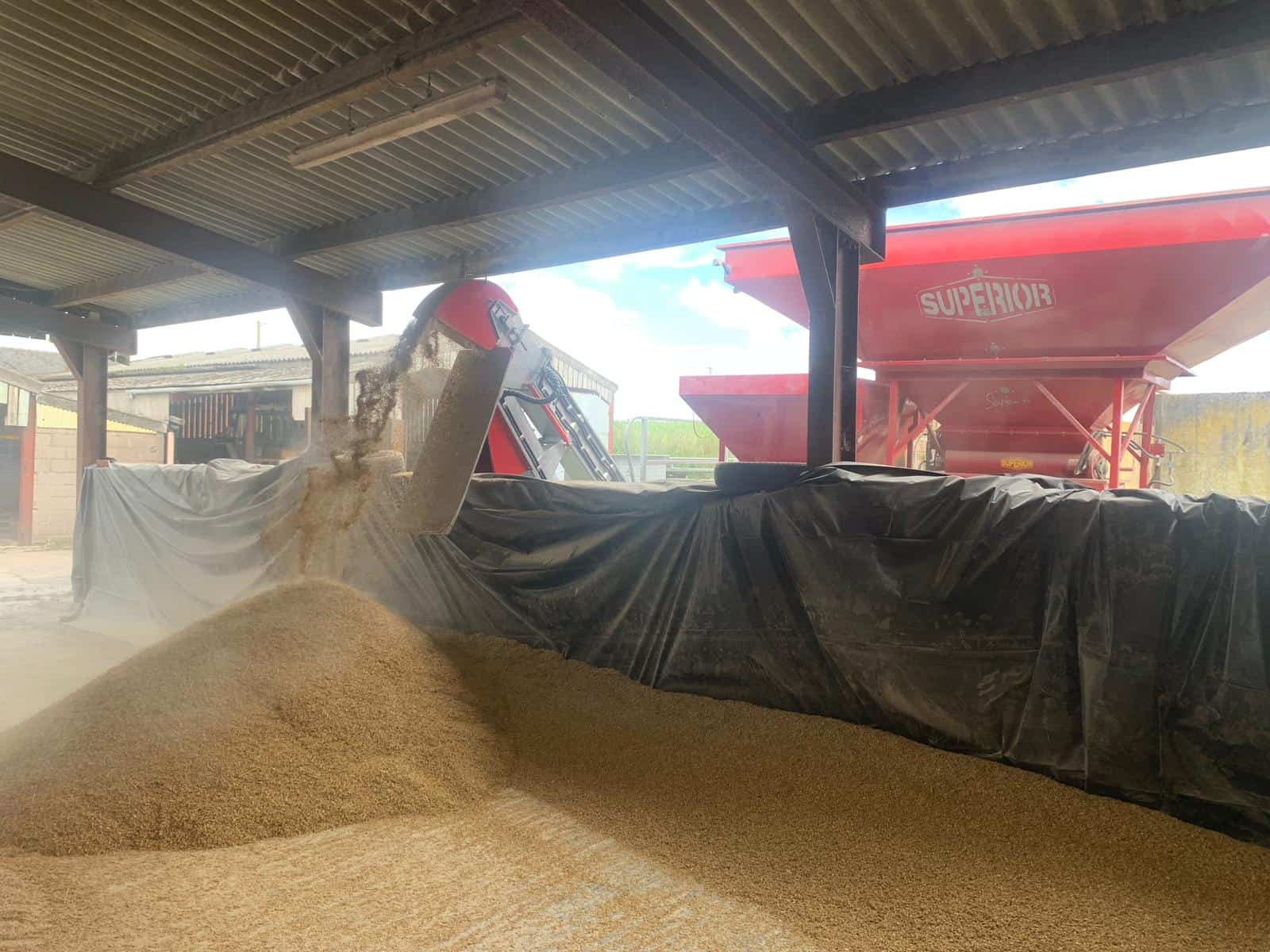 7196336a-e1a9-495b-9ba3-2393c8146fda Grain being processed at a farm facility.
