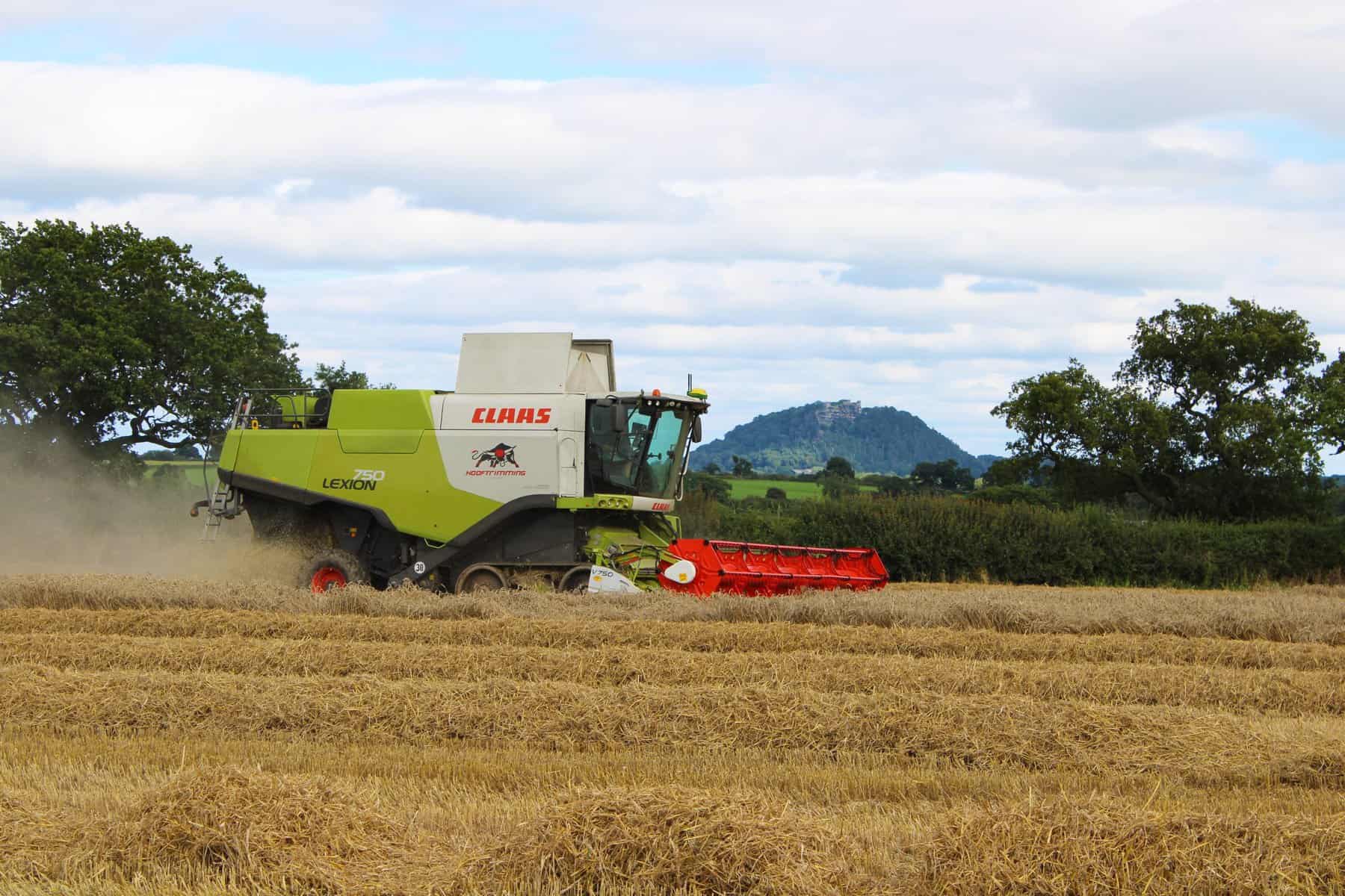 Combine harvester working in a wheat field