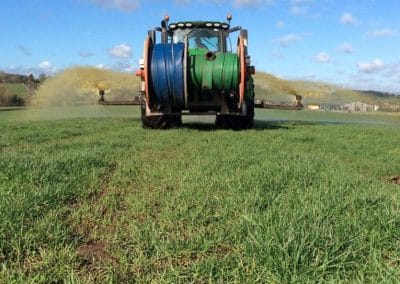 Tractor spraying fertilizer on green field
