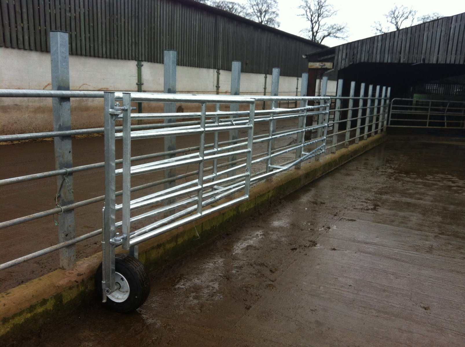 Gates 4 Metal livestock gate on concrete pathway.