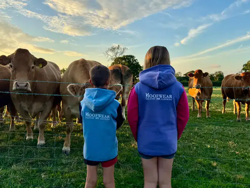 Children in hoodies watching cows in pasture.