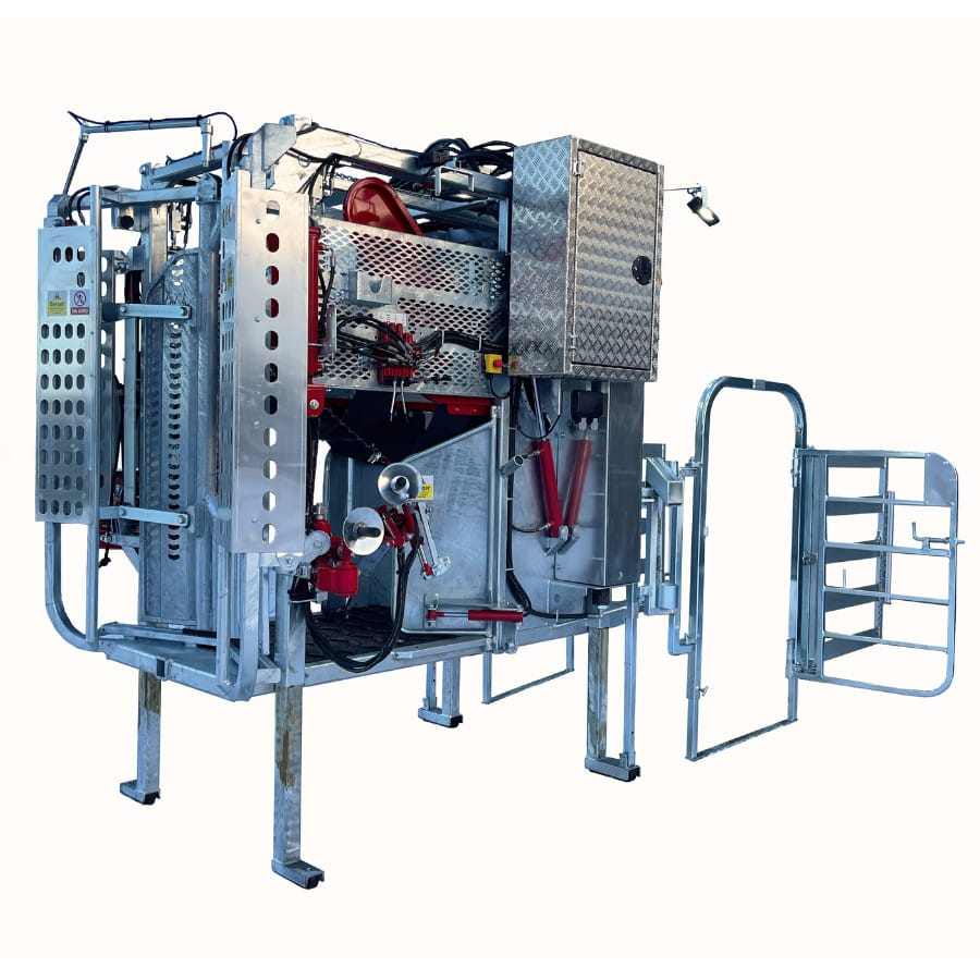 Industrial cattle handling equipment on white background.