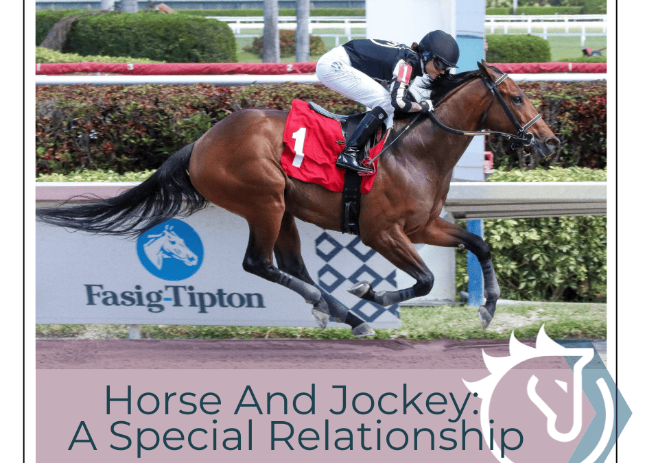 Horse and Jockey: A Special Relationship