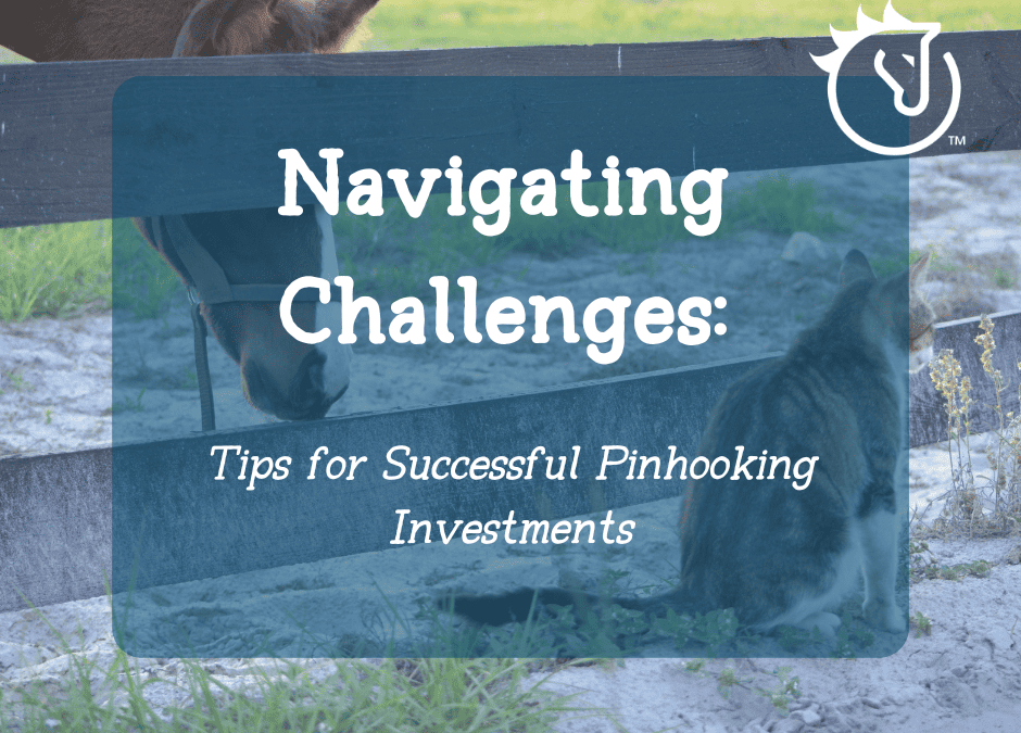 Navigating Challenges: Tips for Successful Pinhooking Investments