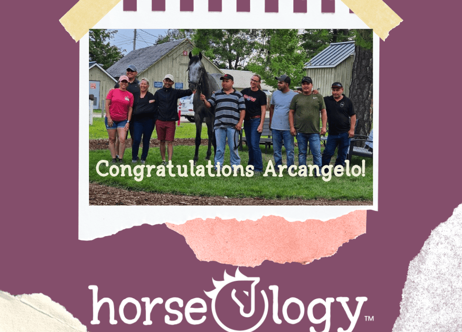 Congratulations horseOlogy Graduate Arcangelo for Travers Stakes Win!