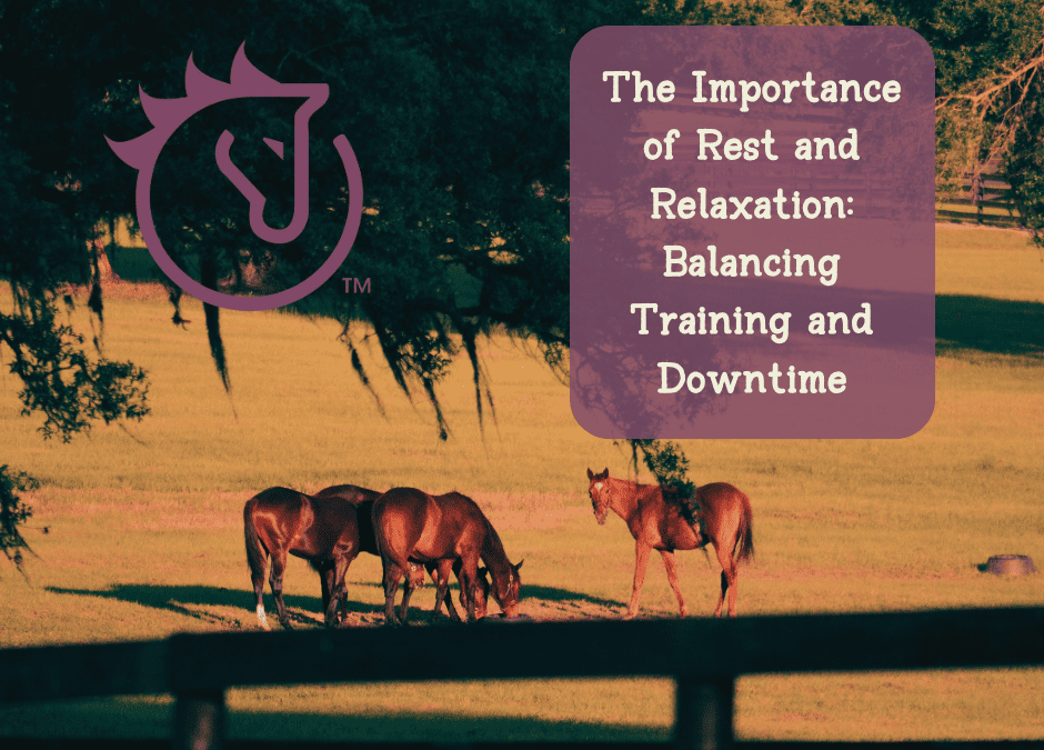 The Importance of Rest and Recovery: Balancing Training and Downtime