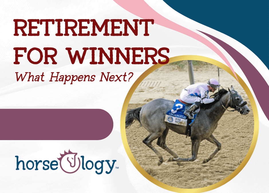 Retirement for Winners: What Happens Next?