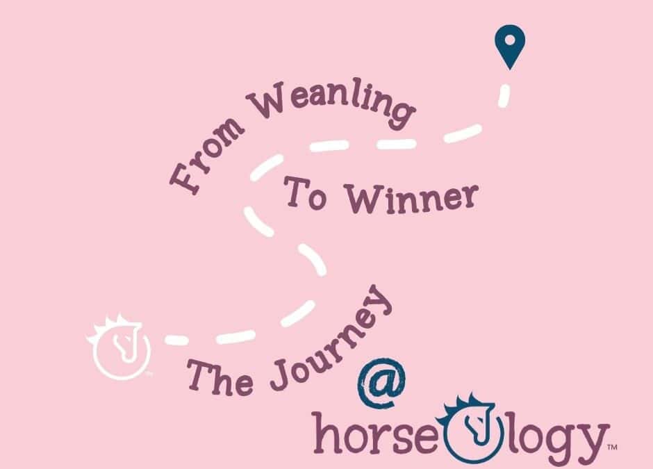 From Weanling to Winner: The Journey of a Racehorse at horseOlogy