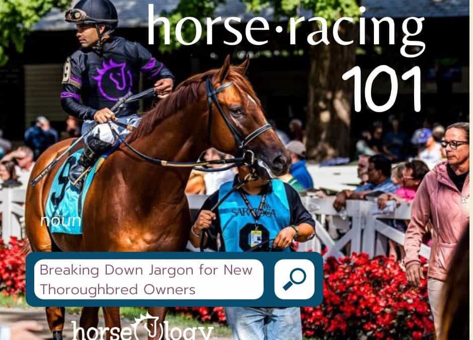 Horseracing 101: Breaking Down the Jargon for New Thoroughbred Owners