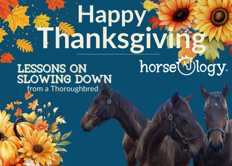 Lessons in Slowing Down from a Thoroughbred