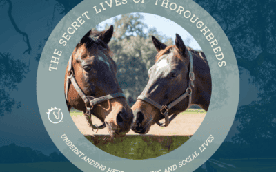 The Secret Lives of Thoroughbreds: Understanding Herd Dynamics and Social Lives
