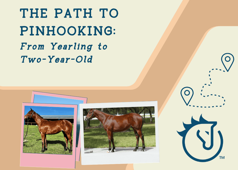 The Path to Pinhooking: From Yearling to Two-Year-Old