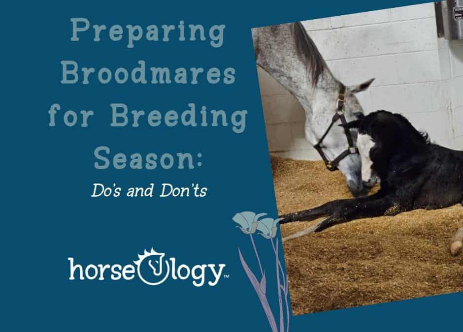 Preparing Broodmares for Breeding Season: Do’s and Don’ts