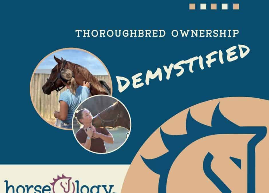 Thoroughbred Ownership Demystified: How horseOlogy Makes It Easy