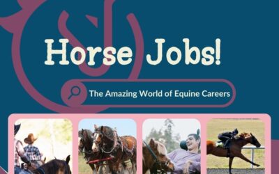 Horse Jobs! The Amazing World of Equine Careers