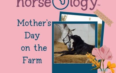 Mother’s Day on the Farm: Celebrating Our Favorite Broodmares