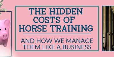 The Hidden Costs of Horse Training