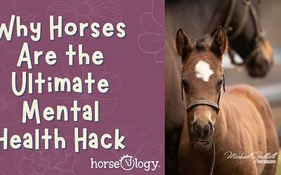 Why Horses Are the Ultimate Mental Health Hack