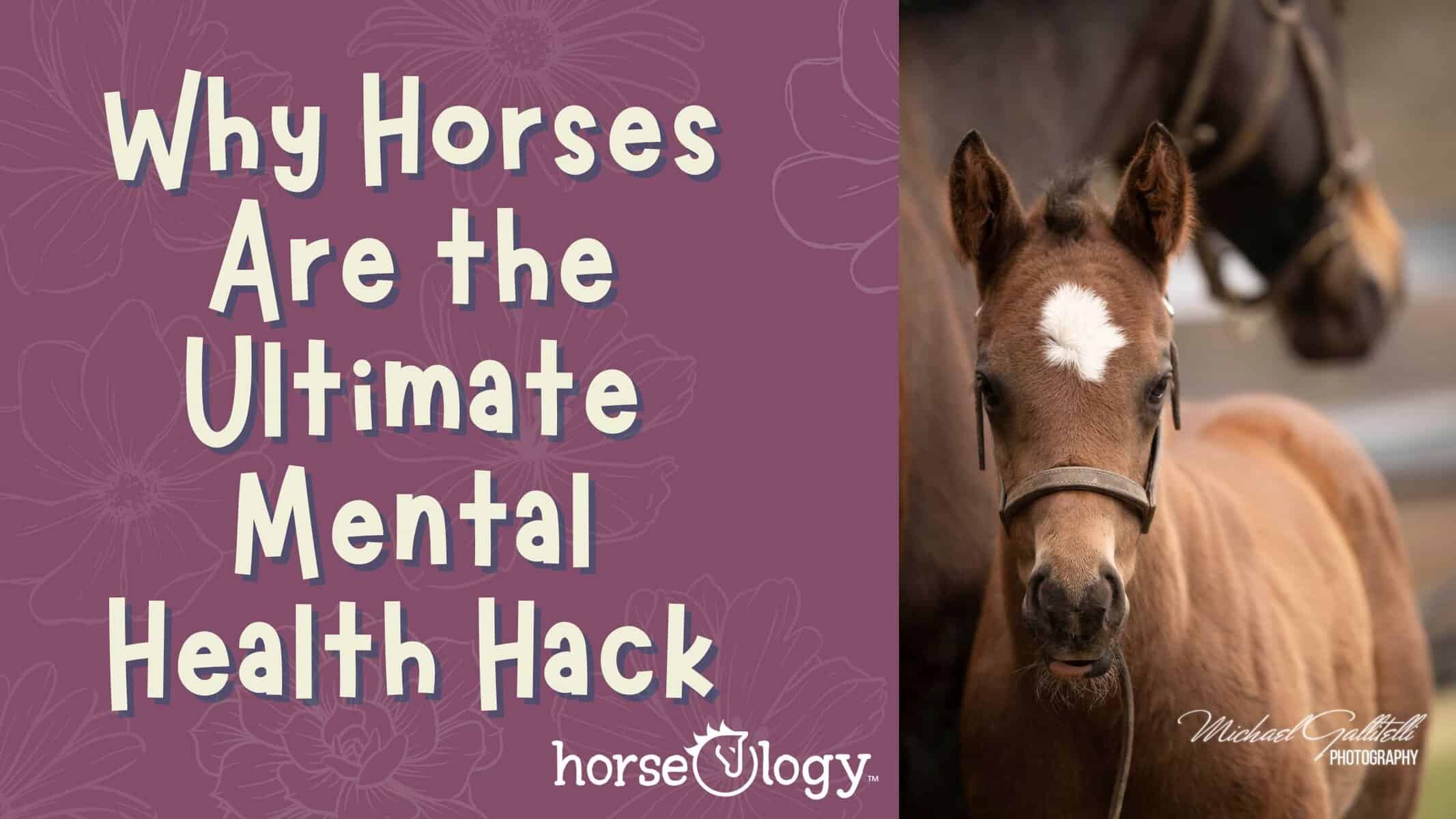 Ultimate Mental Health Hack