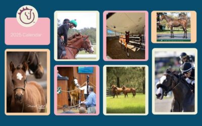 Timing Is Everything: The Thoroughbred Calendar Explained