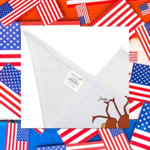 Hot-Dogs-for-Zohran-Cute-Pet-Bandana-us