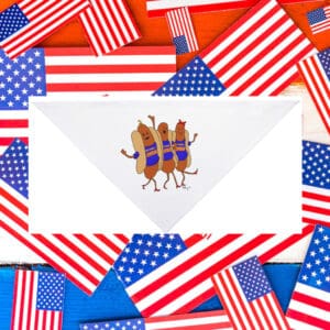 Hot-Dogs-for-Zohran-Cute-Pet-Bandanas