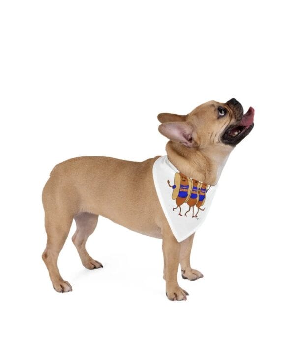 Hot Dogs for Zohran pet bandana