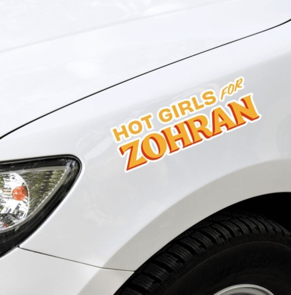 Hot Girls for Zohran 2025 Sticker