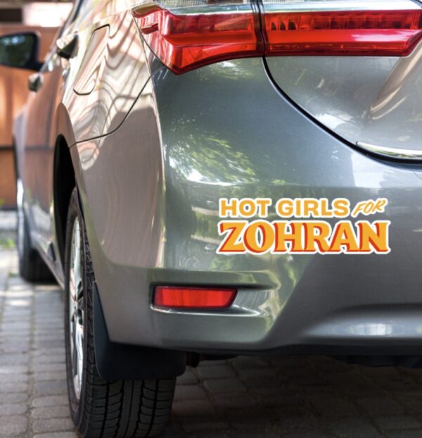 Hot Girls for Zohran 2025 Sticker