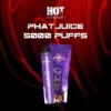 phatjuice 5000 puffs