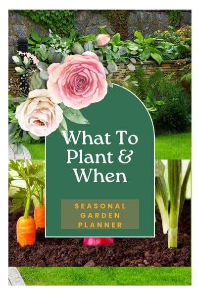 agarden with a rose bush and lush lawns with a copy of a seasonal garden planner