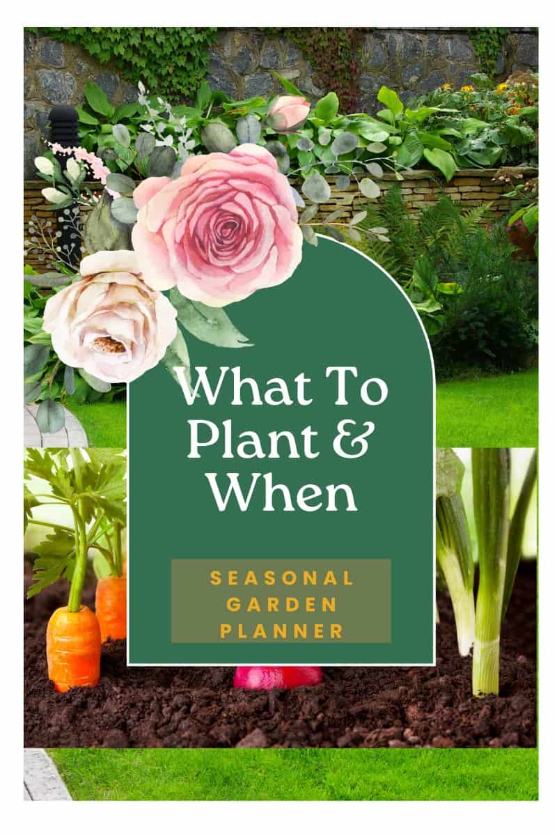 agarden with a rose bush and lush lawns with a copy of a seasonal garden planner
