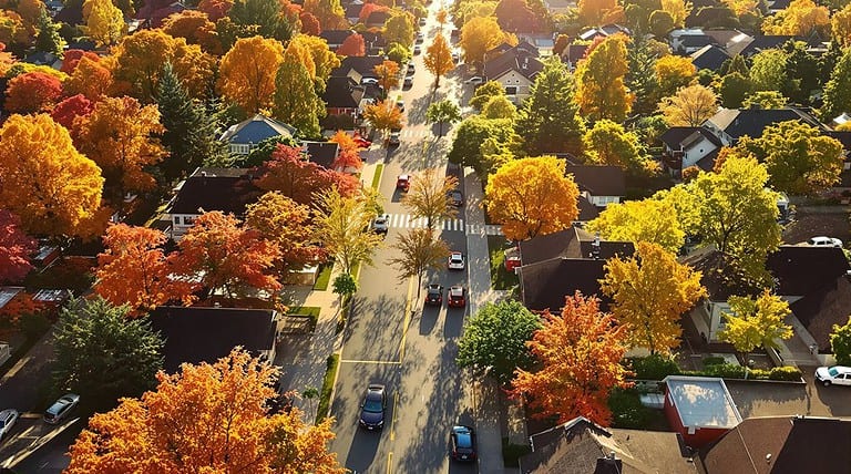 How to Assess Heat Island Risk When Buying in Urban Ontario