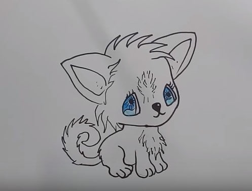 How to draw a cute dog step by step for kids