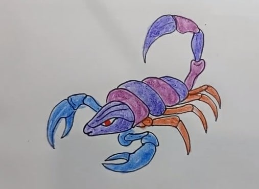 How To Draw A Scorpion and coloring pages for kids