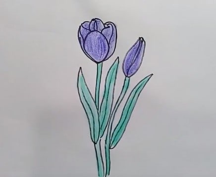 How to draw a tulip step by step easy