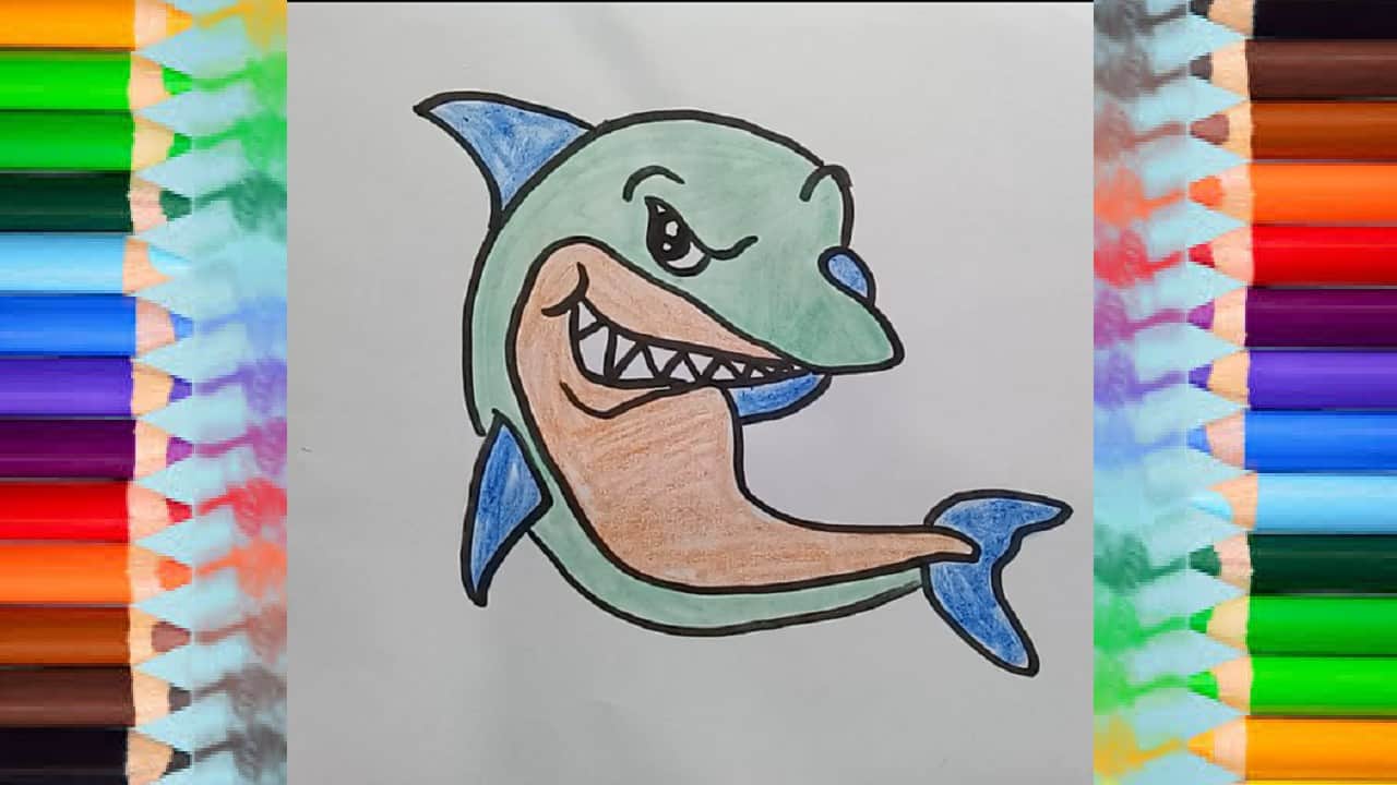 How to Draw a Cute cartoon Shark